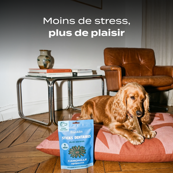 sticks-anti-stress