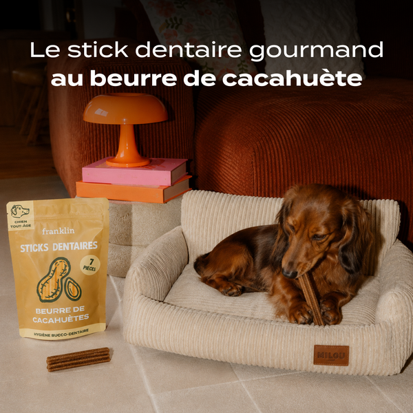 sticks-au-beurre-de-cacahuetes