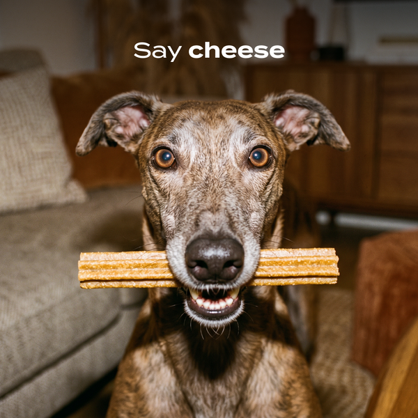 sticks-au-fromage