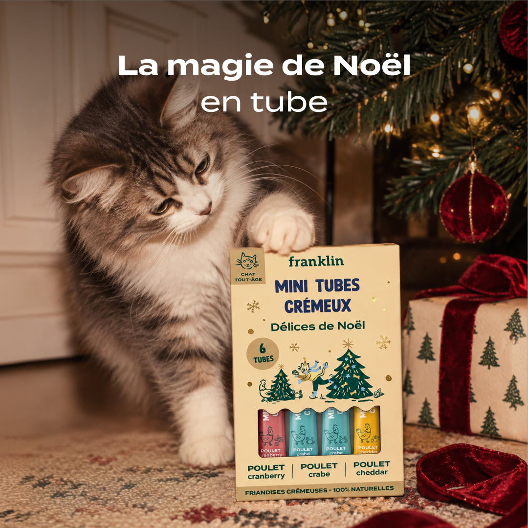 MULTIPACK MINI TUBES POULET