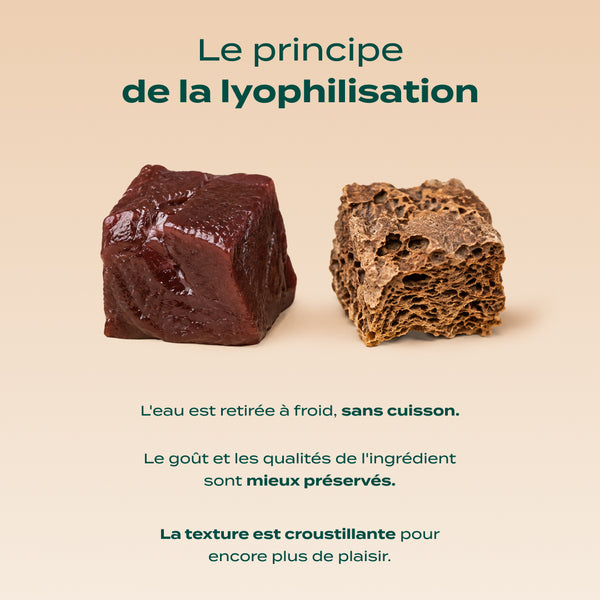 snack-foie-de-boeuf