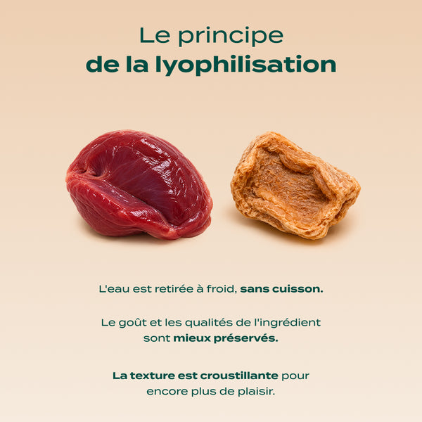 snack-gesier-de-poulet