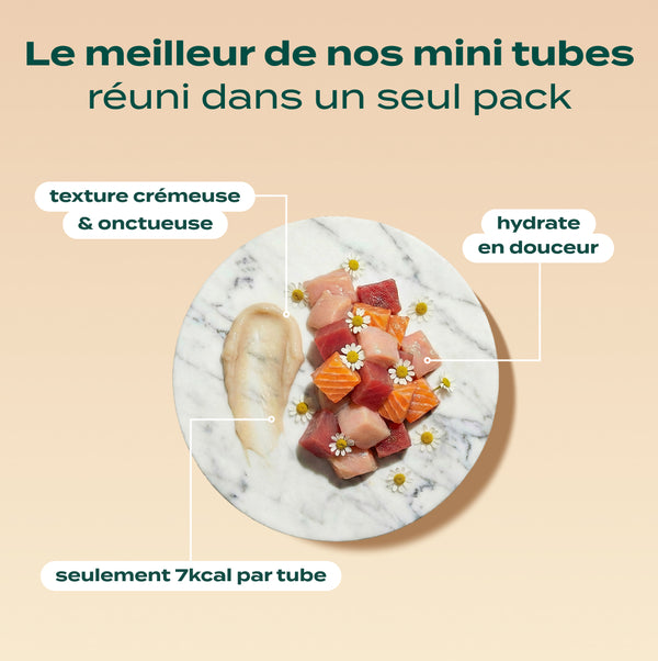pack-decouverte-chat