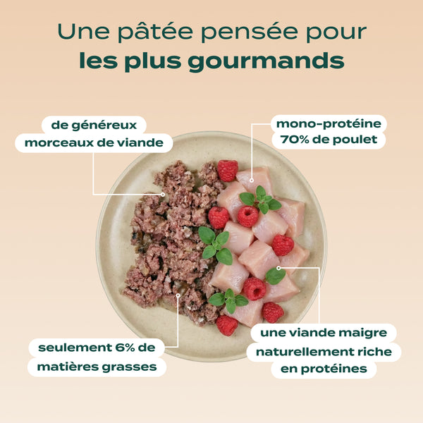pack-decouverte-chien
