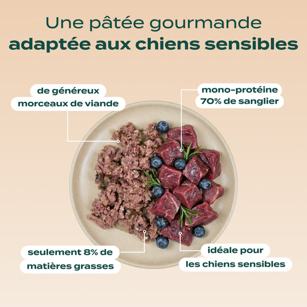 pack-decouverte-chien