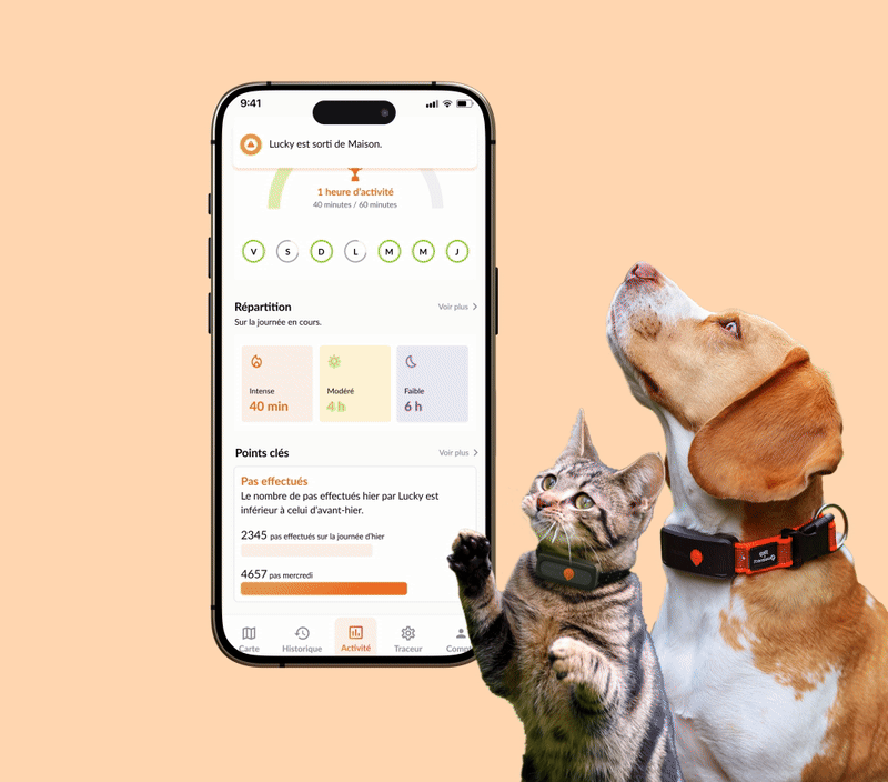 Franklin Alimentation premium pour chien et chat. Choisissez la meilleure nourriture pour votre animal : Croquettes sans céréales riches en protéines et faibles en glucides. Découvrez notre large gamme de pâtées et de friandises riches en viande !