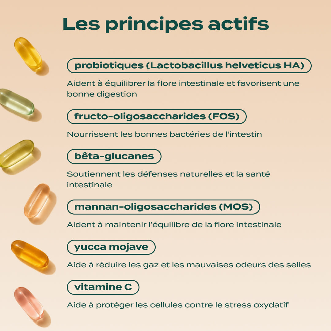 GUMMIES PROBIOTIQUES