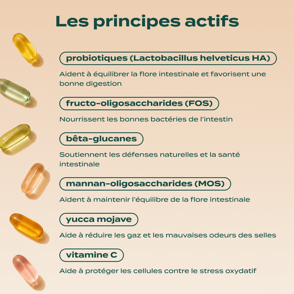 gummies-probiotiques