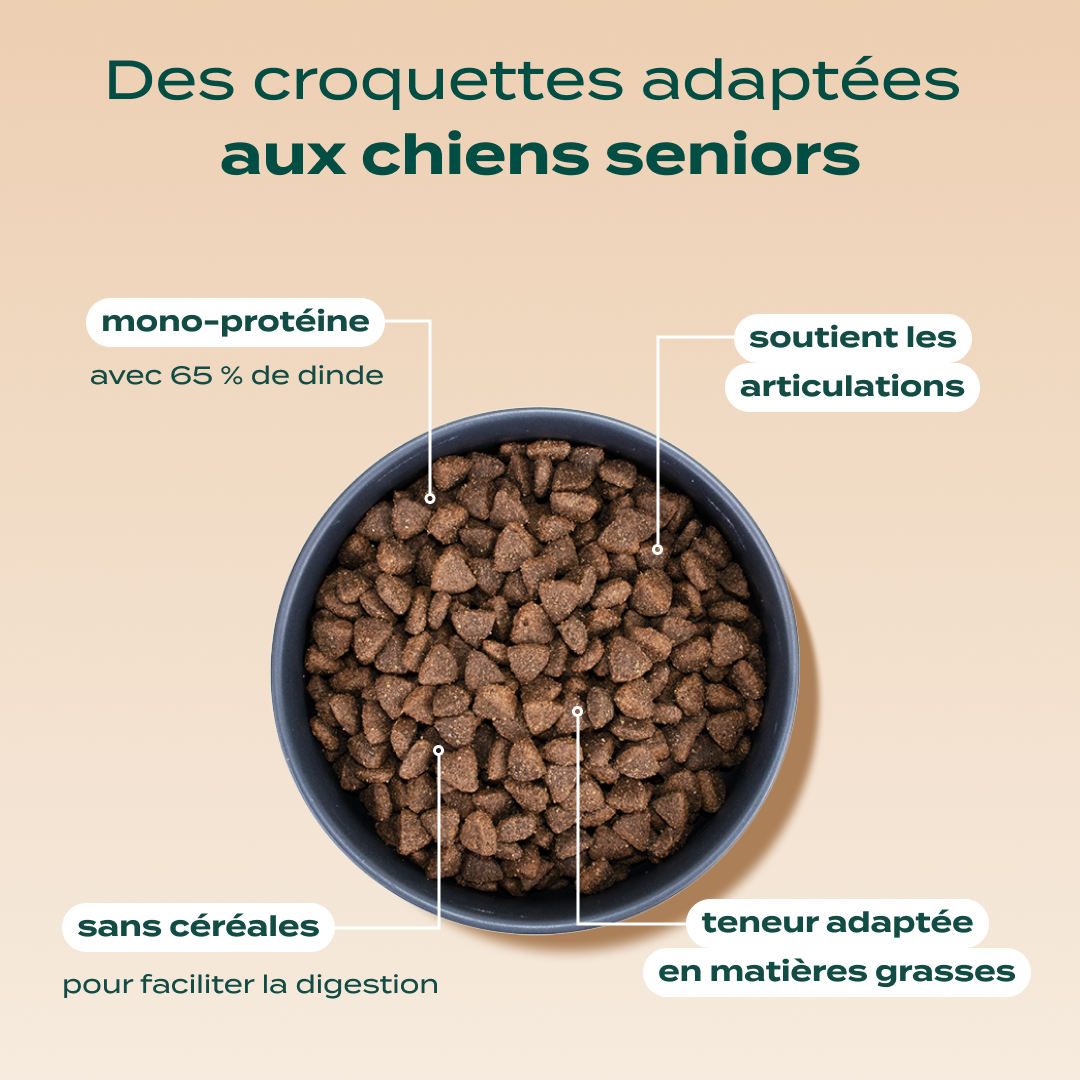 DINDE, COURGE, POIRE
