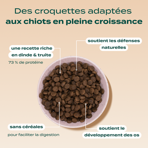 dinde-truite-patate-douce