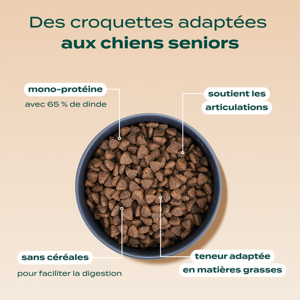 dinde-courge-poire