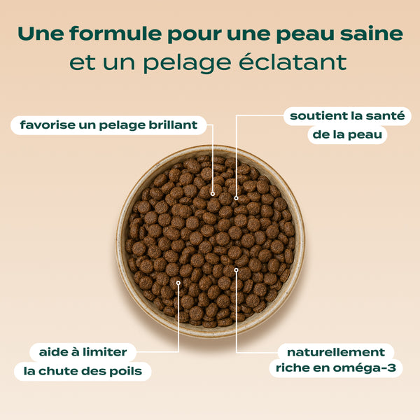 saumon-courge-camomille