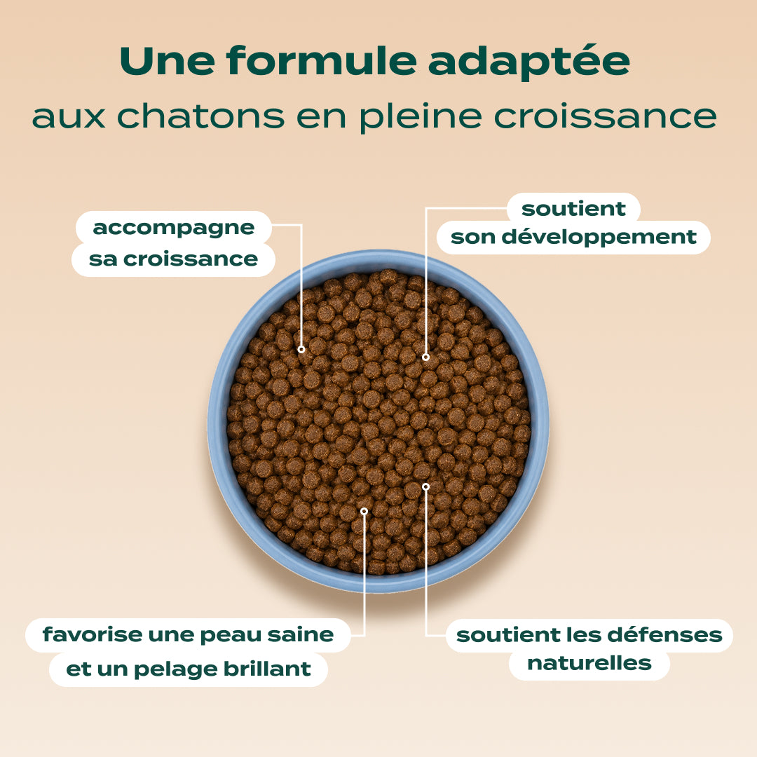 POULET, SAUMON, CAROTTE