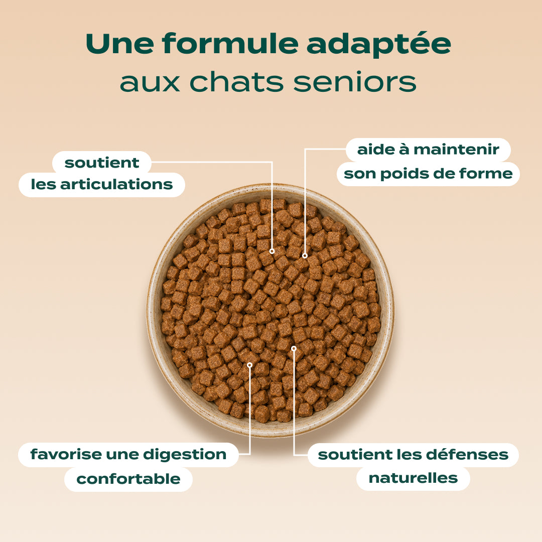 POULET, MYRTILLE, BASILIC