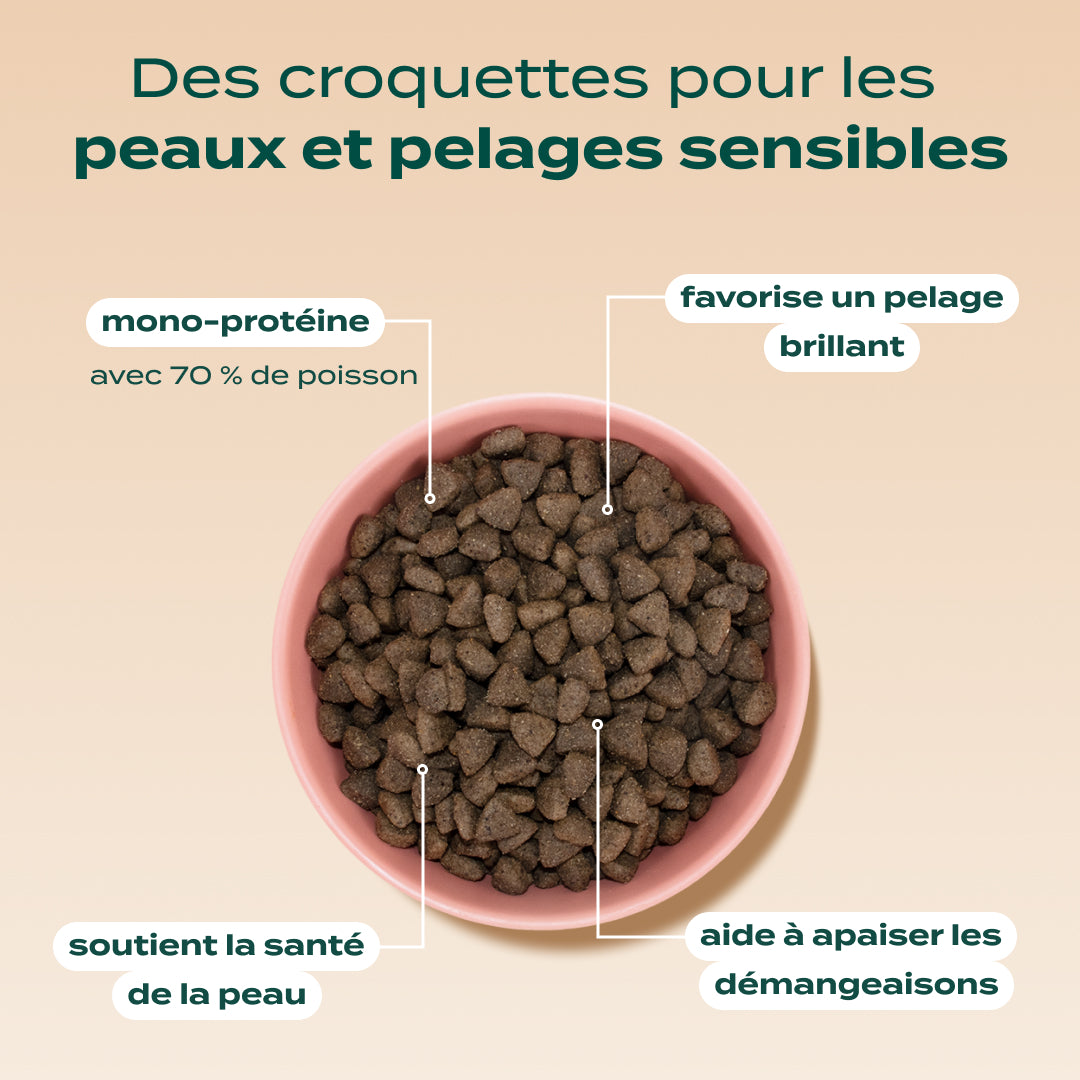 SAUMON, TRUITE, PERSIL