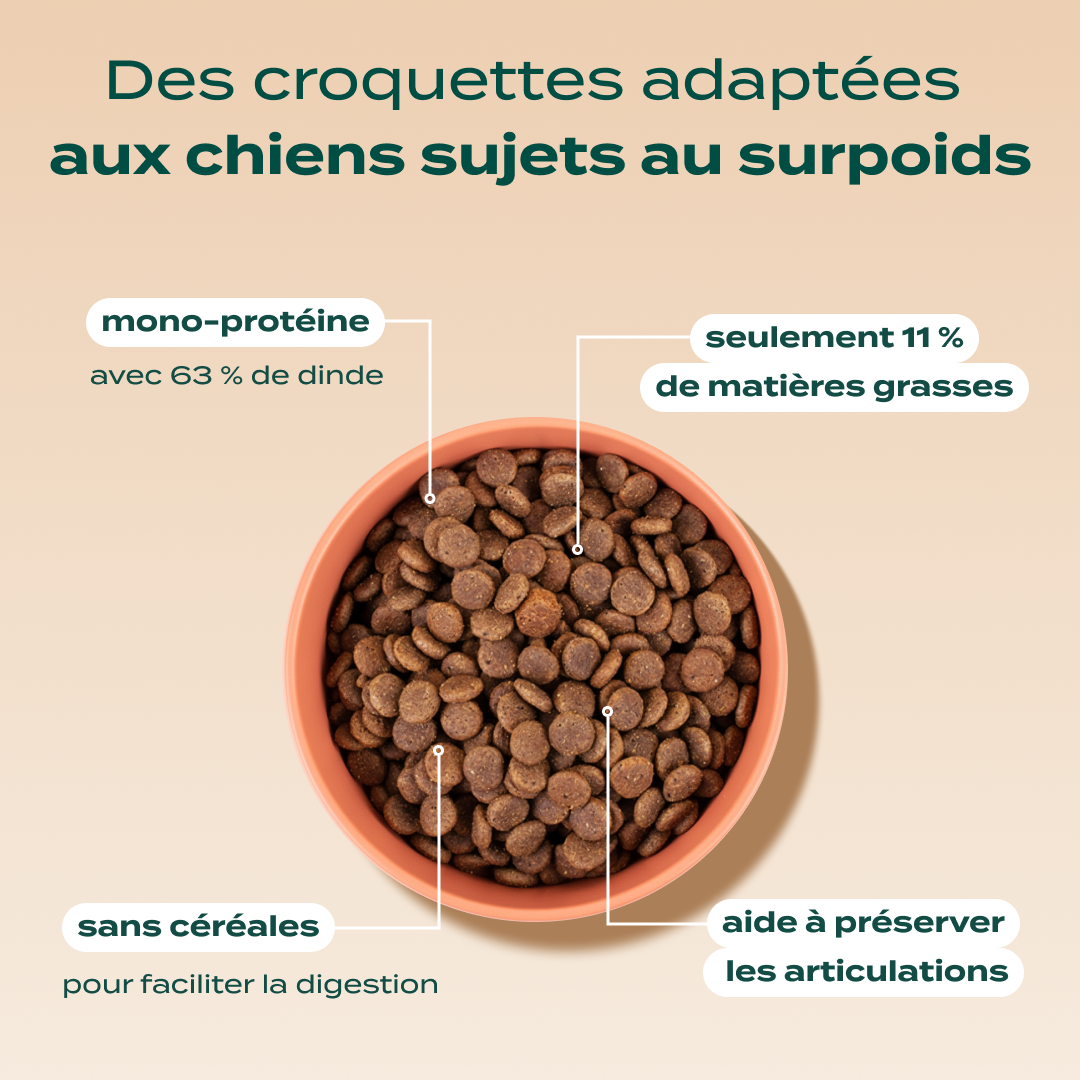 DINDE, PATATE DOUCE, ÉPINARDS