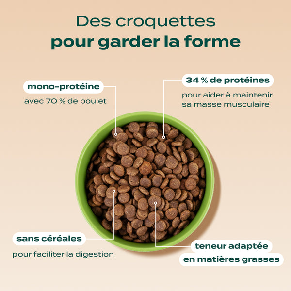 poulet-courge-myrtille