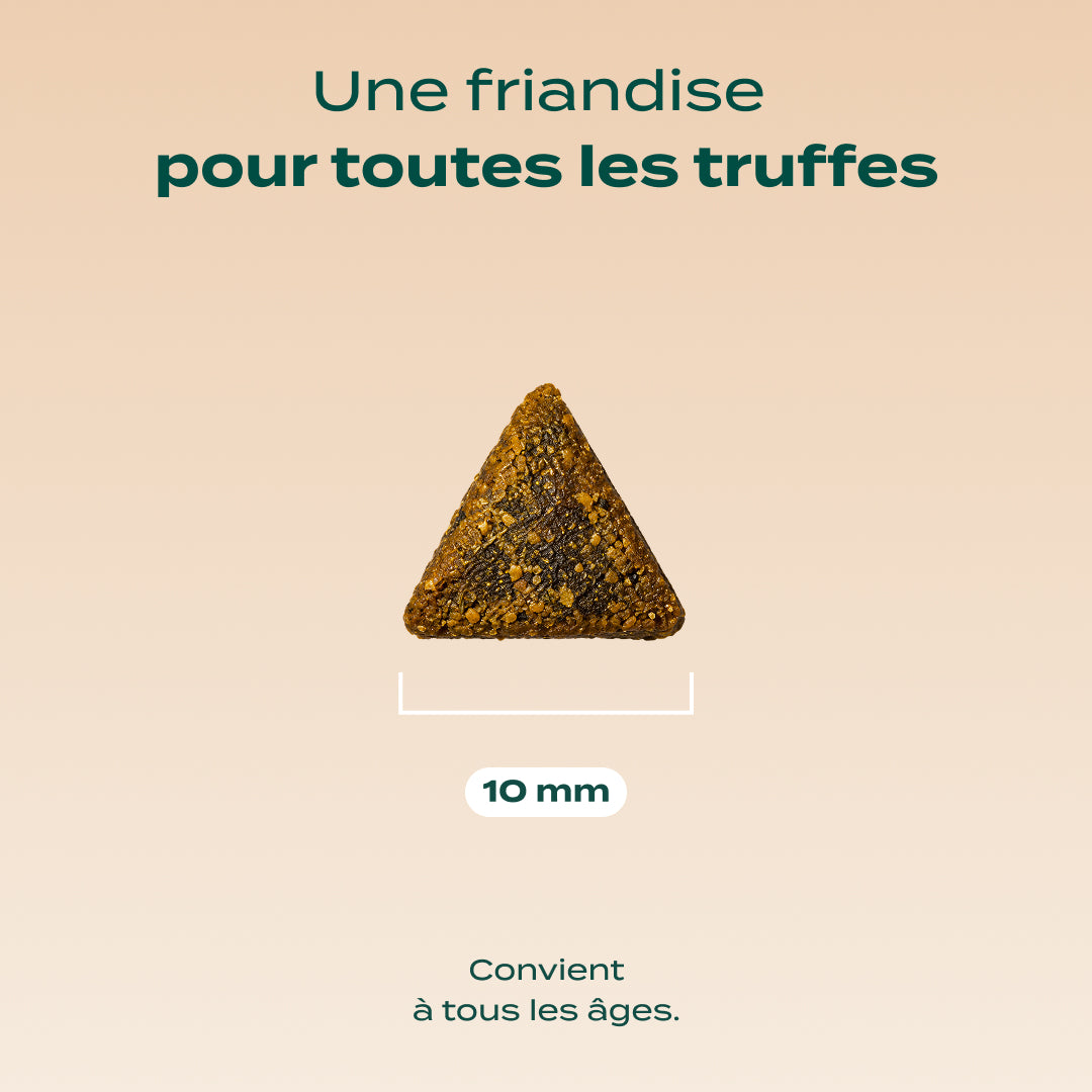 BOUCHÉES ENSORCELÉES SAUMON, CITROUILLE