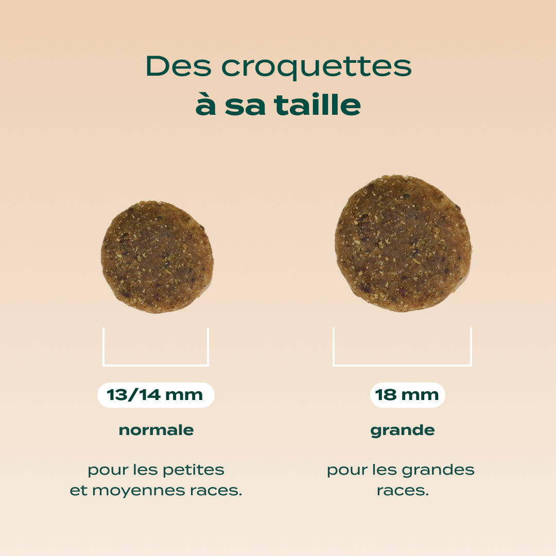 POULET, COURGE, MYRTILLE