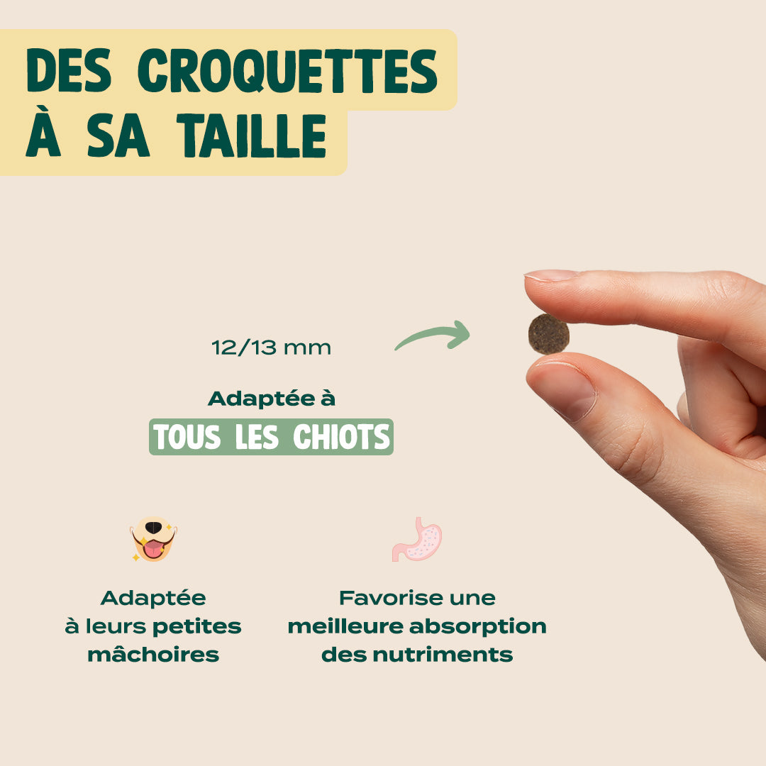 DINDE, TRUITE, PATATE DOUCE