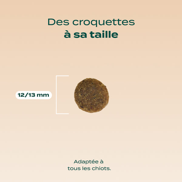 dinde-truite-patate-douce