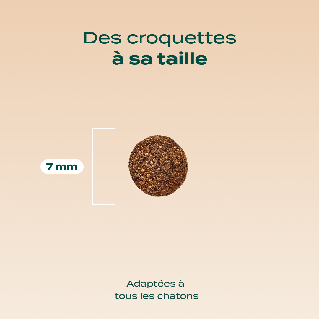 POULET, SAUMON, CAROTTE
