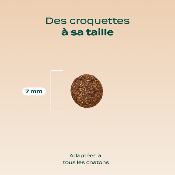 poulet-saumon-carotte