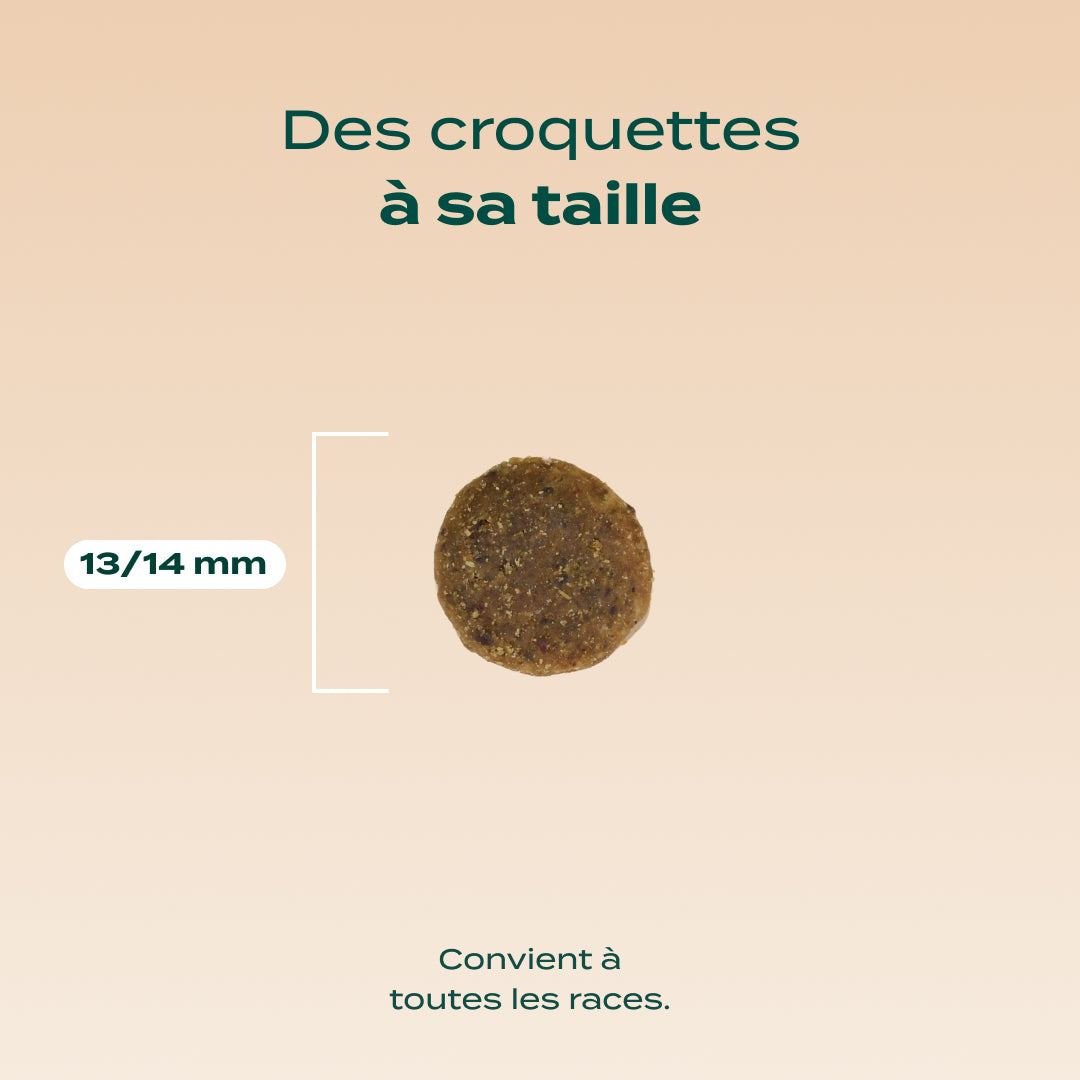 DINDE, PATATE DOUCE, ÉPINARDS