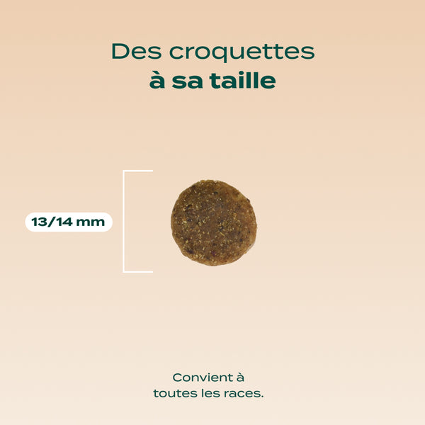 dinde-patate-douce-epinards