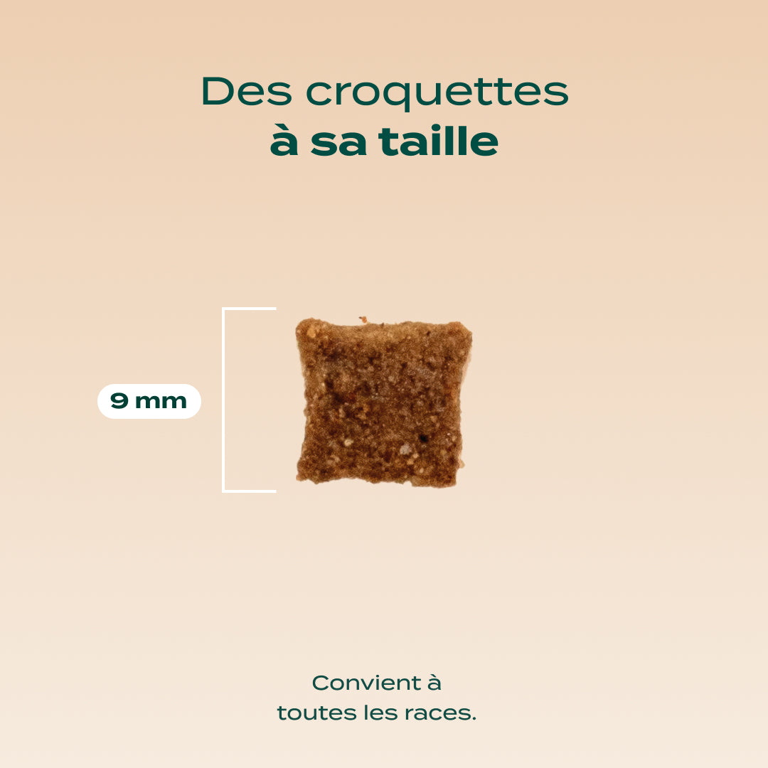 POULET, MYRTILLE, BASILIC