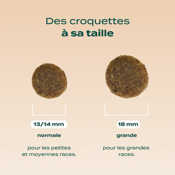agneau-patate-douce-menthe