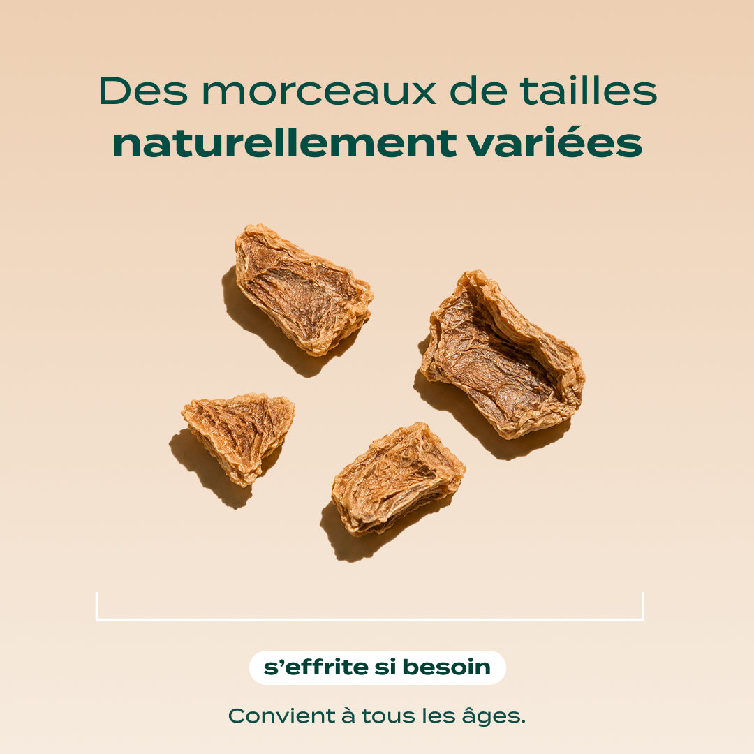 SNACK GÉSIER DE POULET