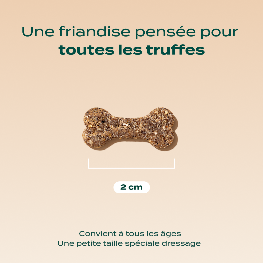 Dressage agneau