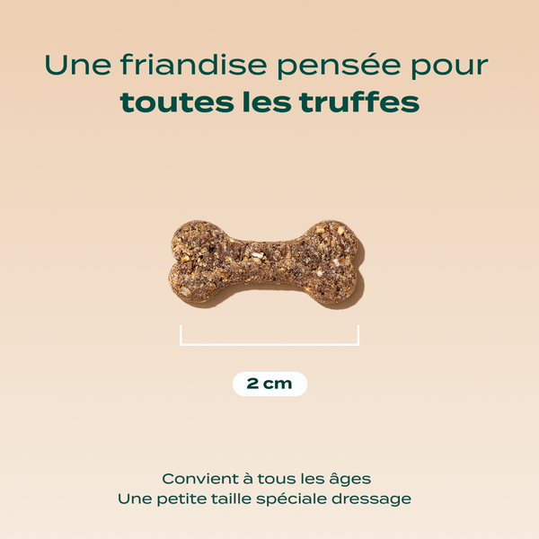 dressage-agneau