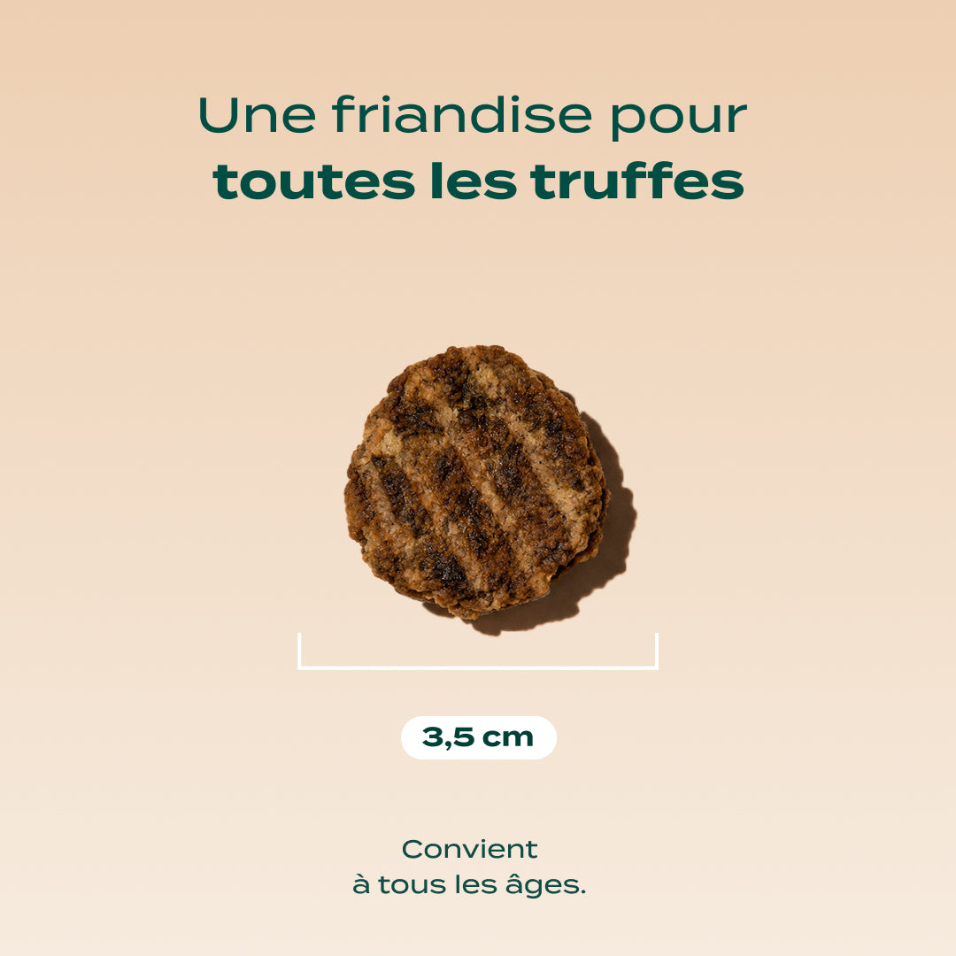 BOEUF SÉCHÉ BARBECUE