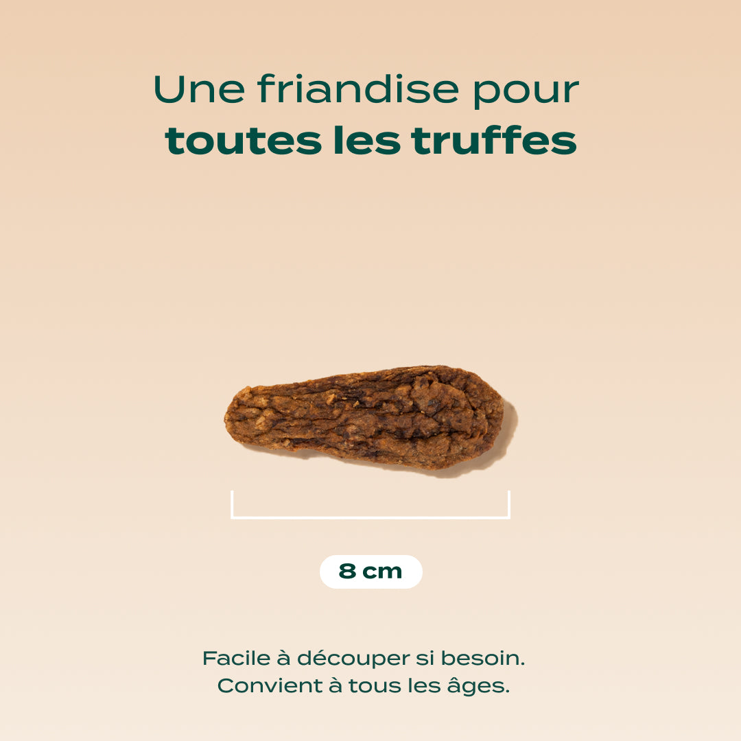 CANARD SÉCHÉ