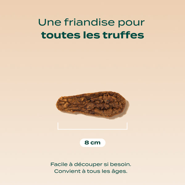 canard-seche