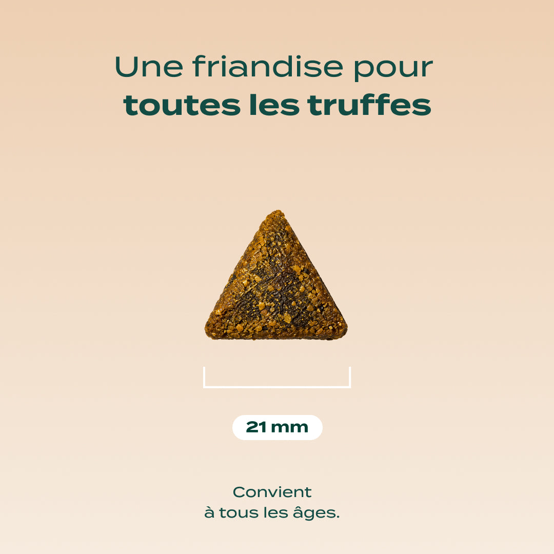 NOËL GOURMAND DINDE, CHEDDAR