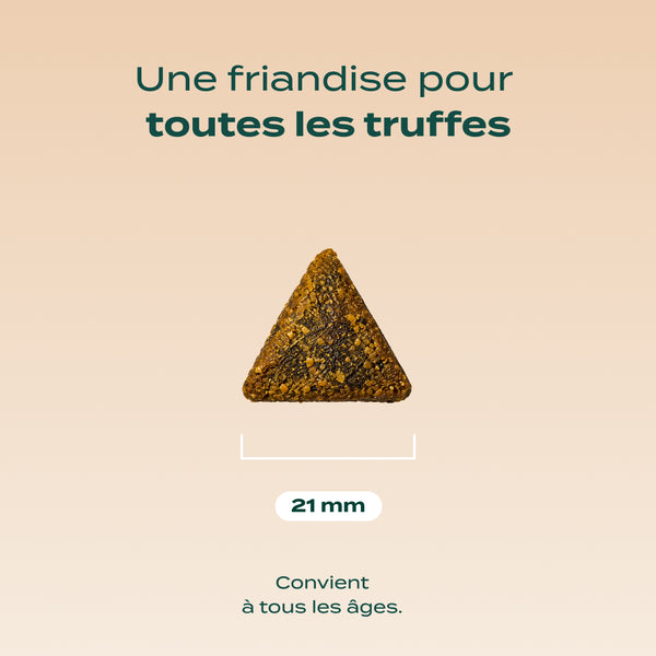 noel-gourmand-dinde-cheddar