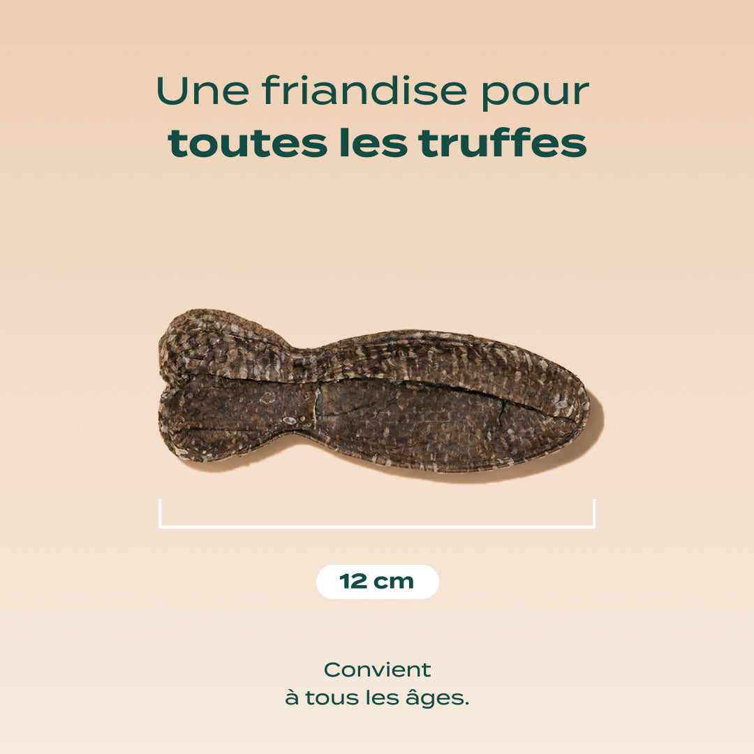 POISSONS À MÂCHER