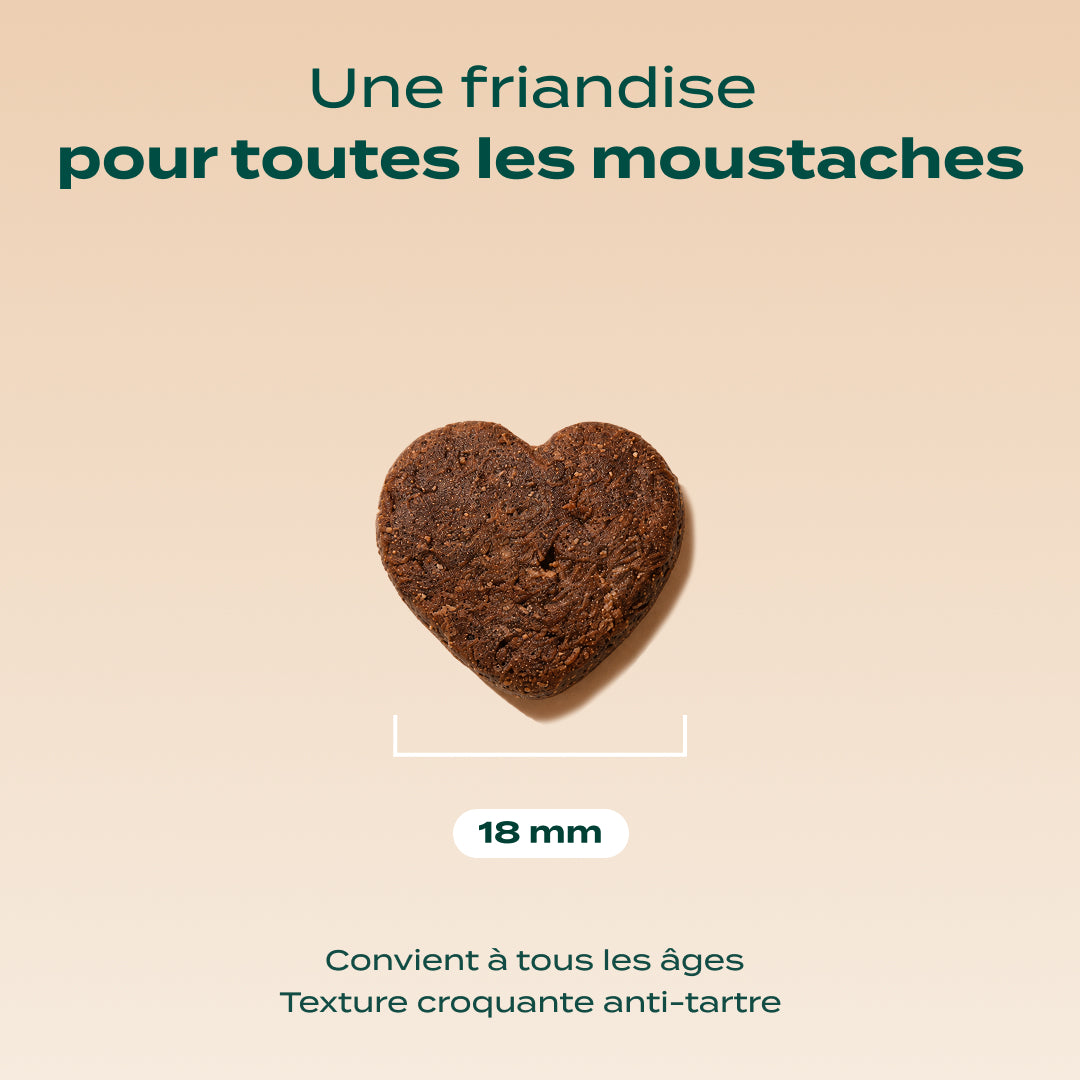 BISCROC' ANTI BOULES DE POILS