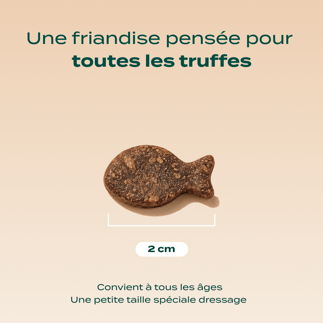 DRESSAGE TRUITE
