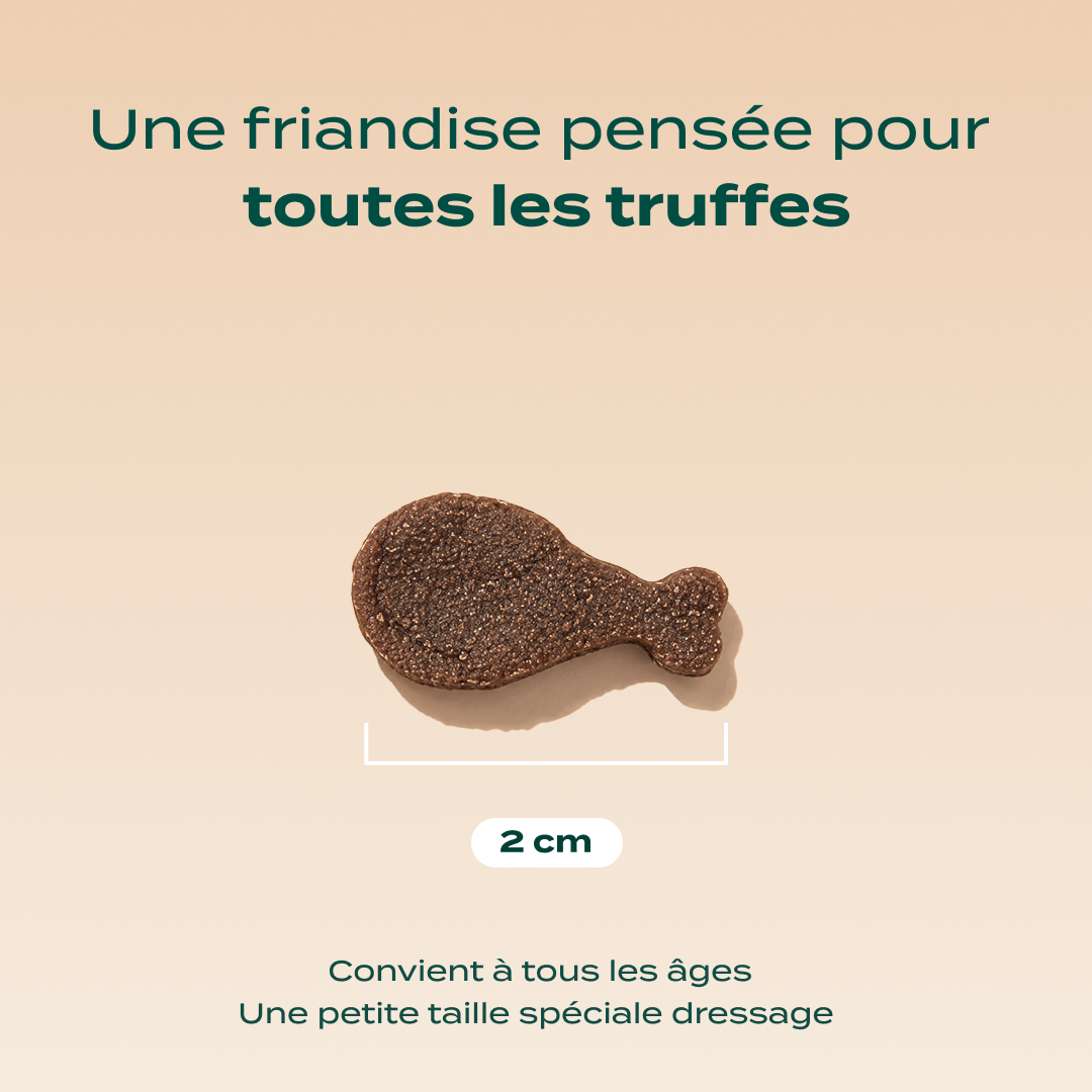 DRESSAGE CANARD