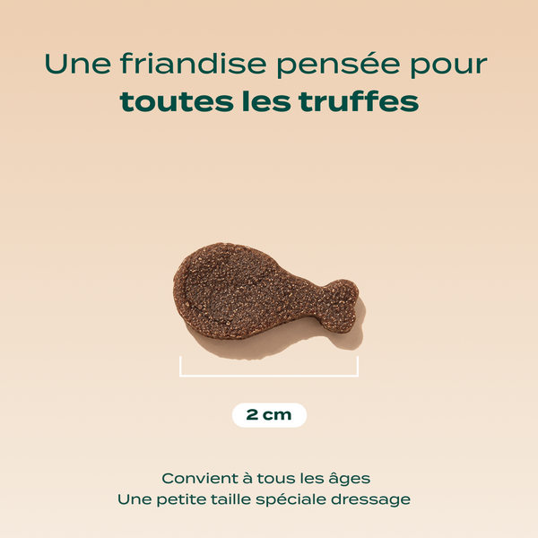 dressage-canard