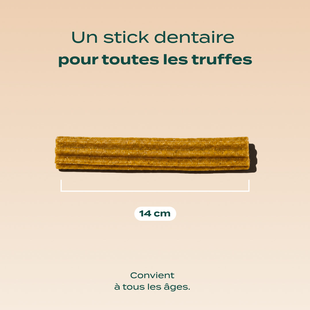 STICKS AU FROMAGE
