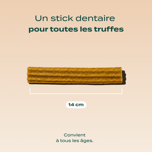 sticks-au-fromage