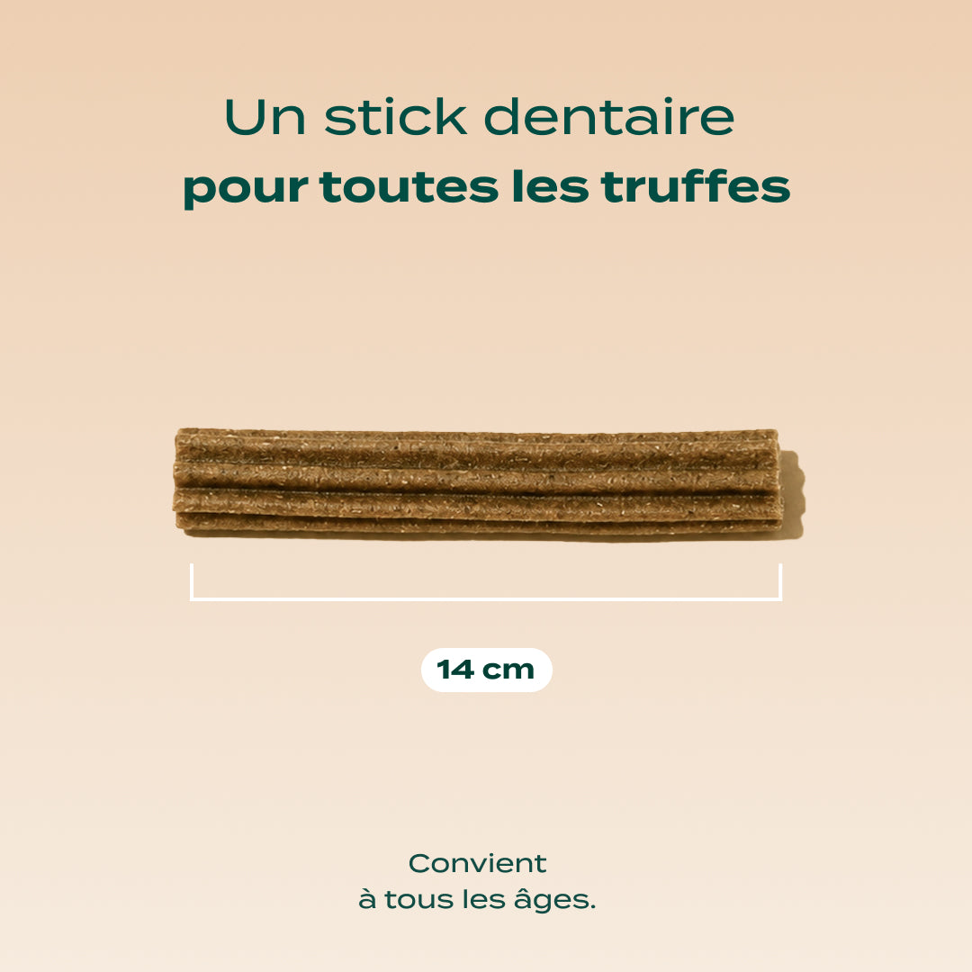STICKS MENTHE, SAUGE