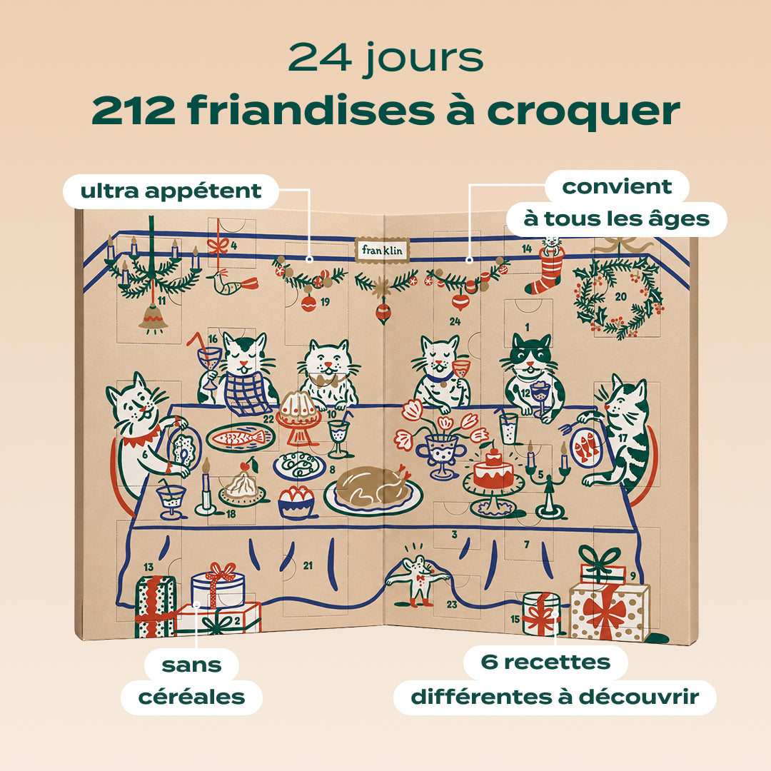 CALENDRIER DE L'AVENT CHAT