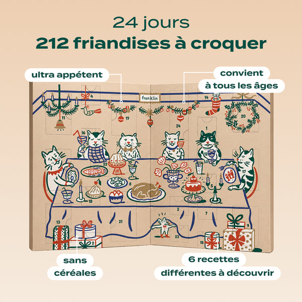 calendrier-de-l-39-avent-chat