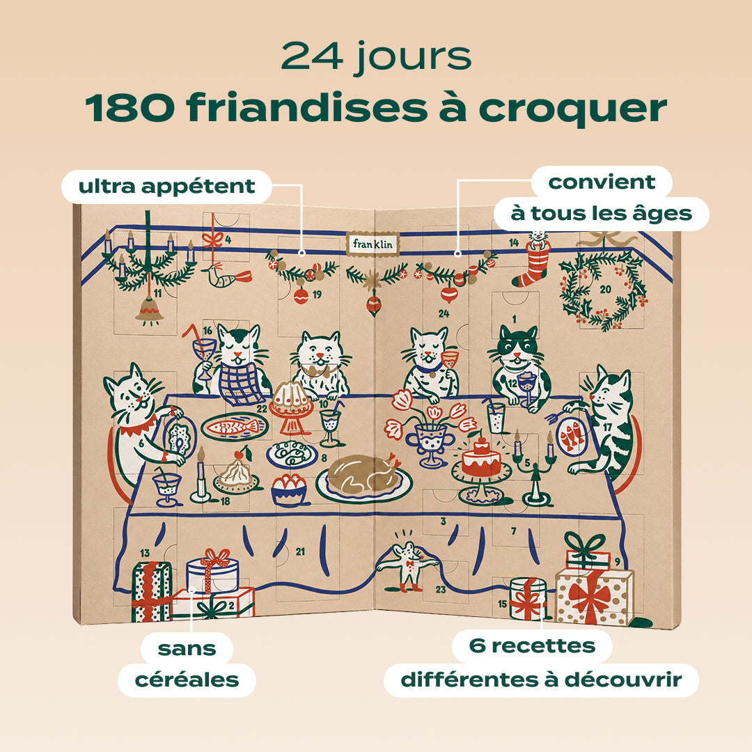 CALENDRIER DE L'AVENT CHAT